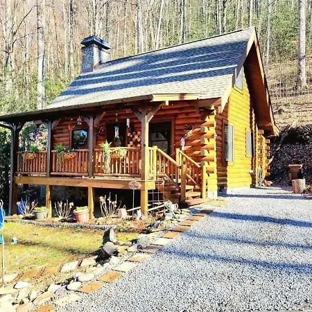 Little Wolf Cabin Villa Maggie Valley Exterior foto