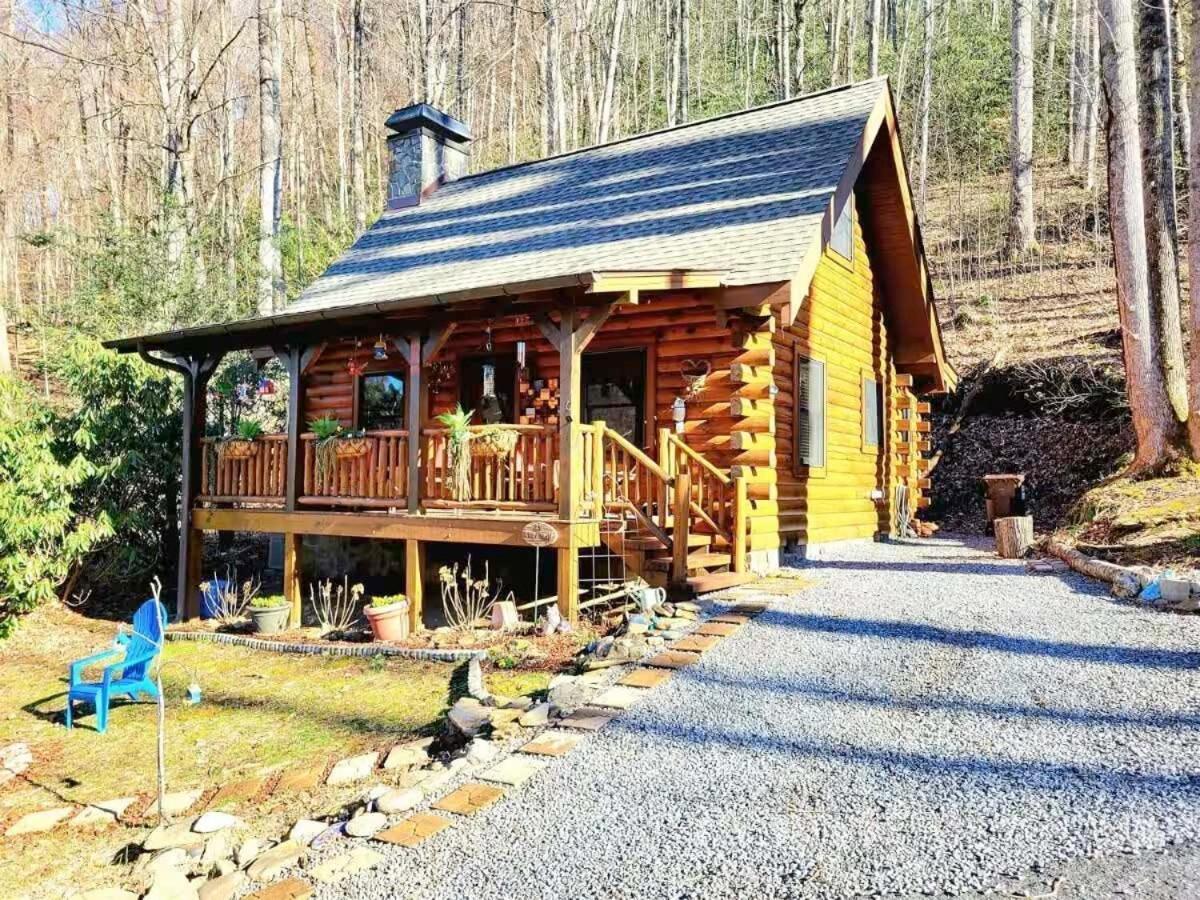 Little Wolf Cabin Villa Maggie Valley Exterior foto